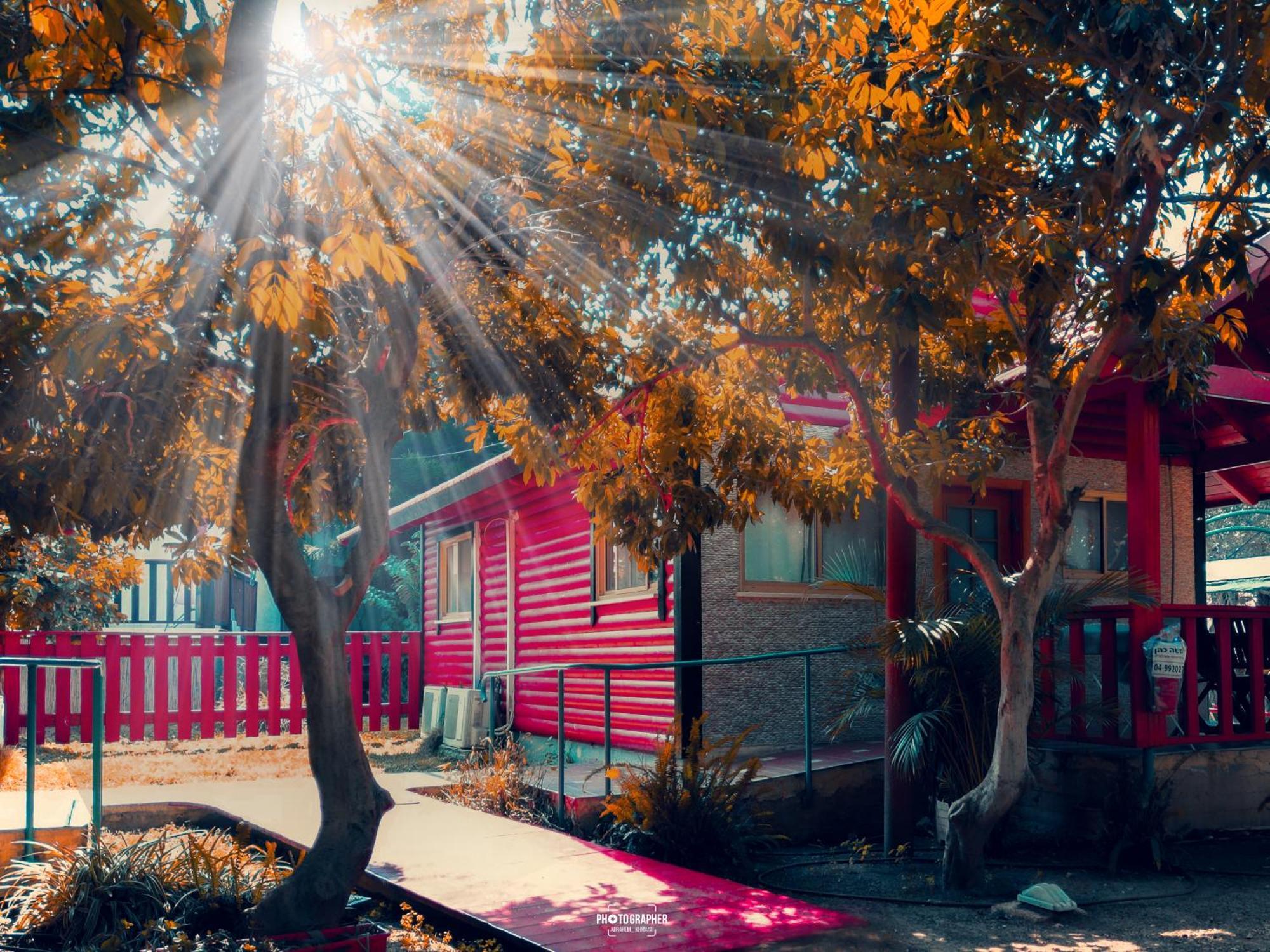 The Wooden Rose Cabins Bezet Room photo